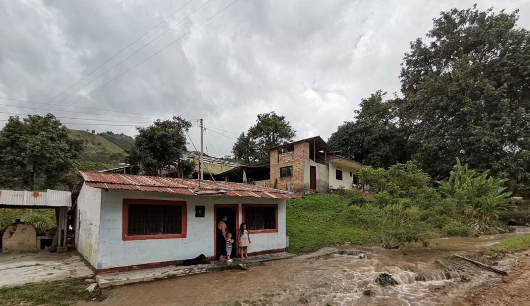 Imagen de referencia