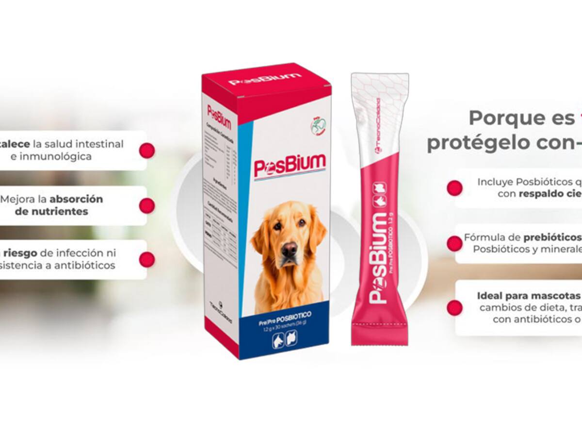 ¿Qué alternativas hay para proteger la salud intestinal de sus mascotas? Le contamos