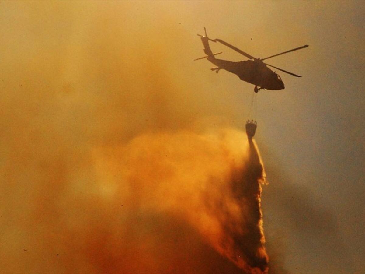 Coronel Miguel Díaz habla sobre la situación forestal que se vive en el país