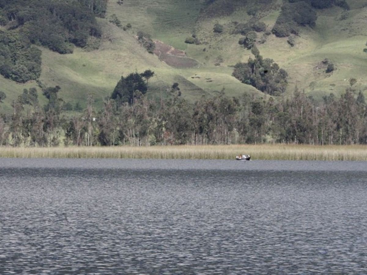 A la laguna de la Cocha le quedan 4 años de vida: ambientalista
