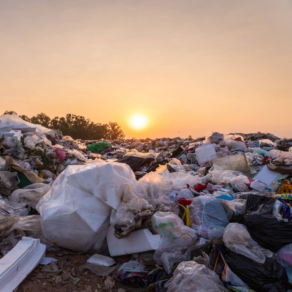 Su objetivo principal no es comer de la basura: alcalde de Puerto Carreño sobre personas en relleno sanitario