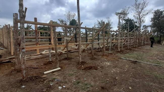 Policía interviene corraleja en zona rural de Puerto Escondido, Córdoba.Foto: Policía