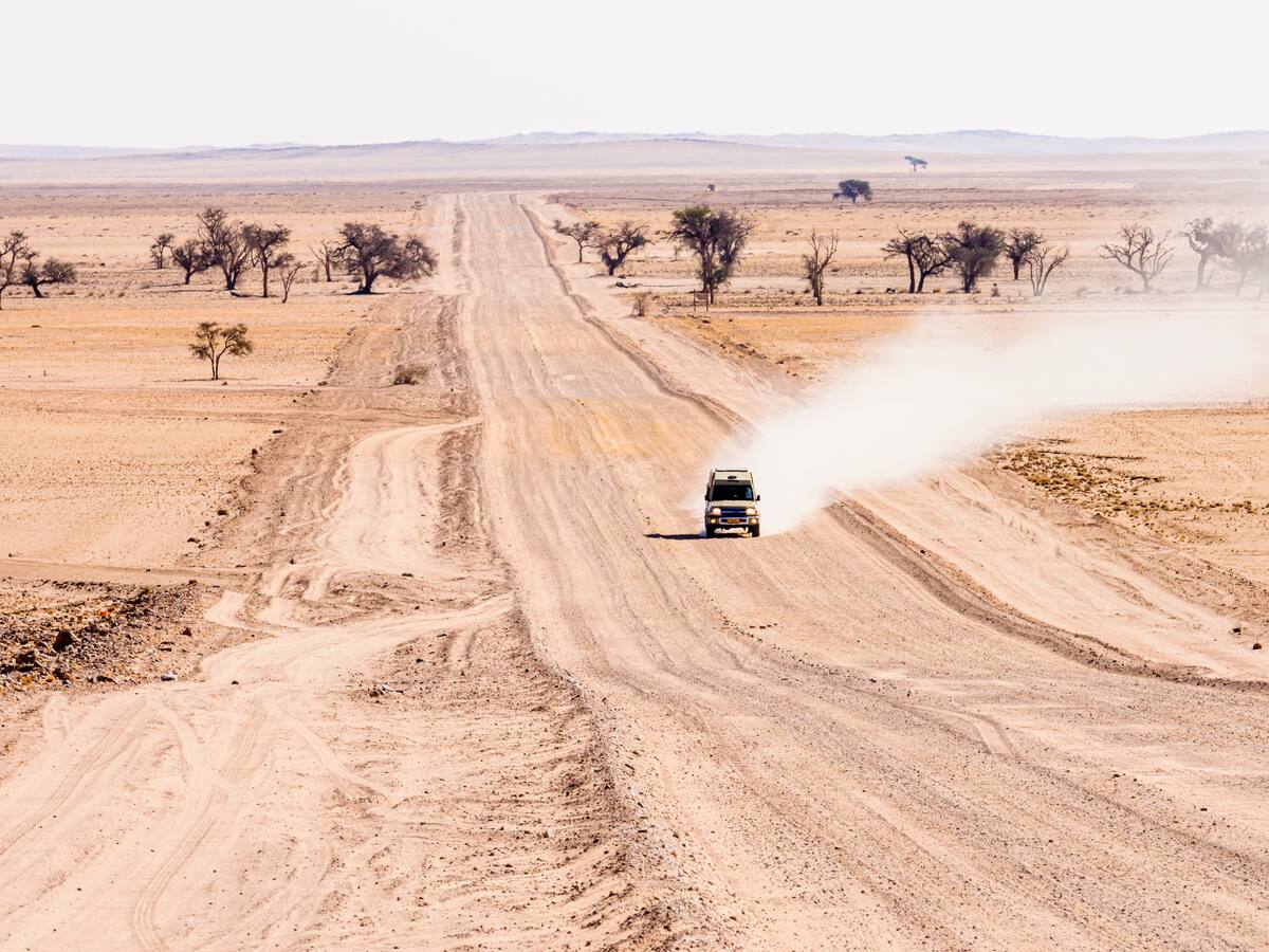 La travesía de dos hermanos argentinos recorriendo África en un carro de 50 años: esta es la historia