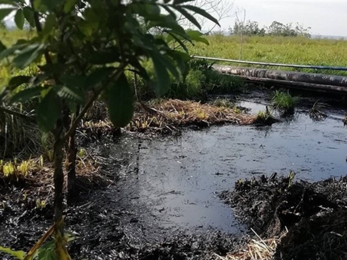 Procuraduría cuestiona a la Anla por Serranía las Quinchas y Campo Moriche