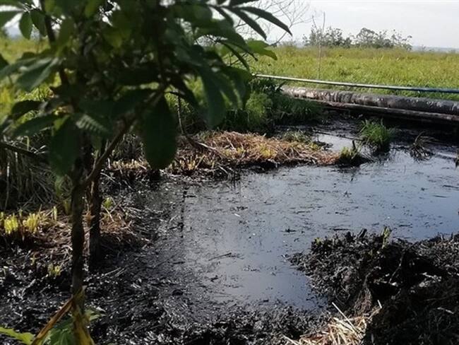 La directora de seguimiento de la Anla, Ana Mercedes Casas, dijo que se están haciendo seguimientos rigurosos y exigiendo las medidas de manejo ambiental. Foto: W