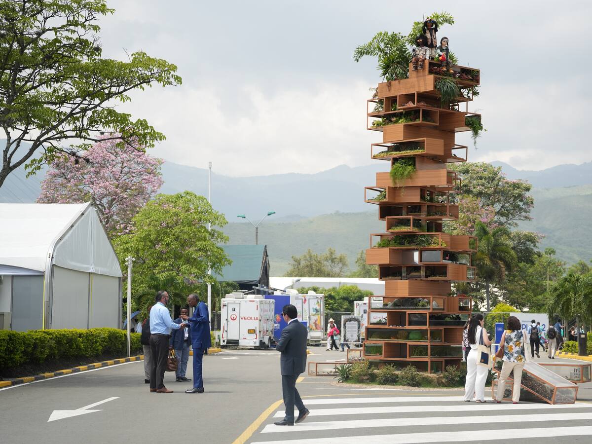 Más de 900 mil visitantes impulsaron el ecoturismo y la economía de Cali en la COP16