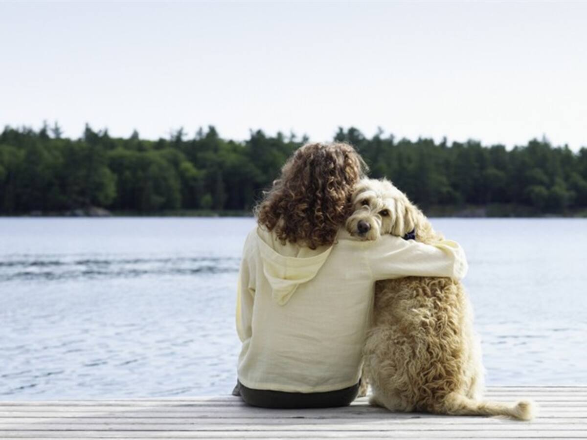 ‘Nine lives twine’ hace recuerdos textiles con los pelos de tu mascota