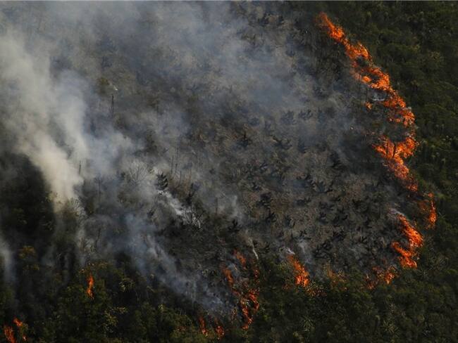 Incendios forestales/ Imagen de referencia. Foto: Colprensa.