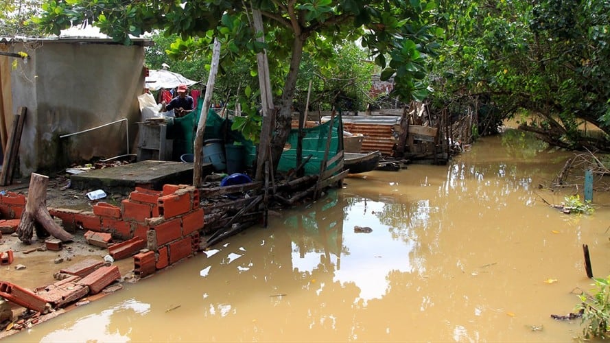 En este momento se pueden hacer donaciones en dinero o en especie. Foto: Agencia EFE