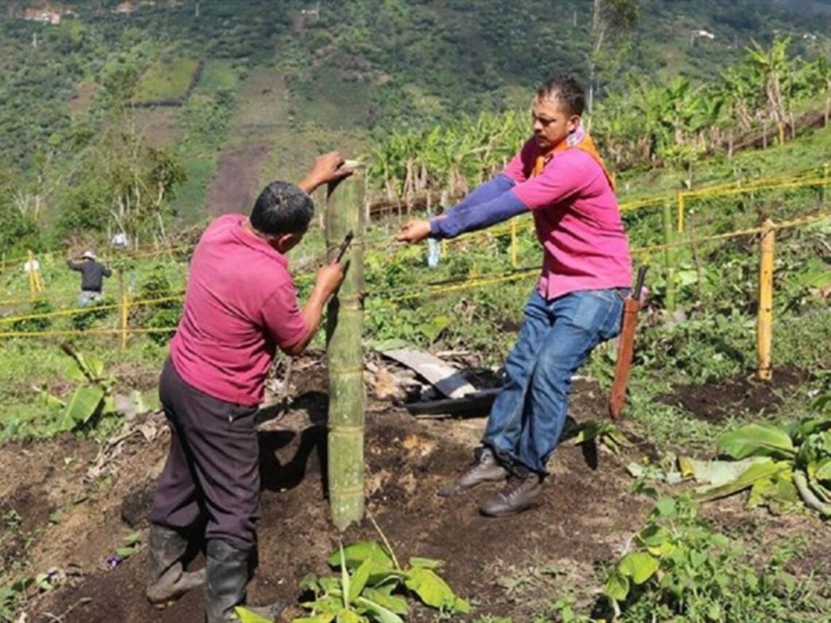 En San José de Albán previenen las quemas