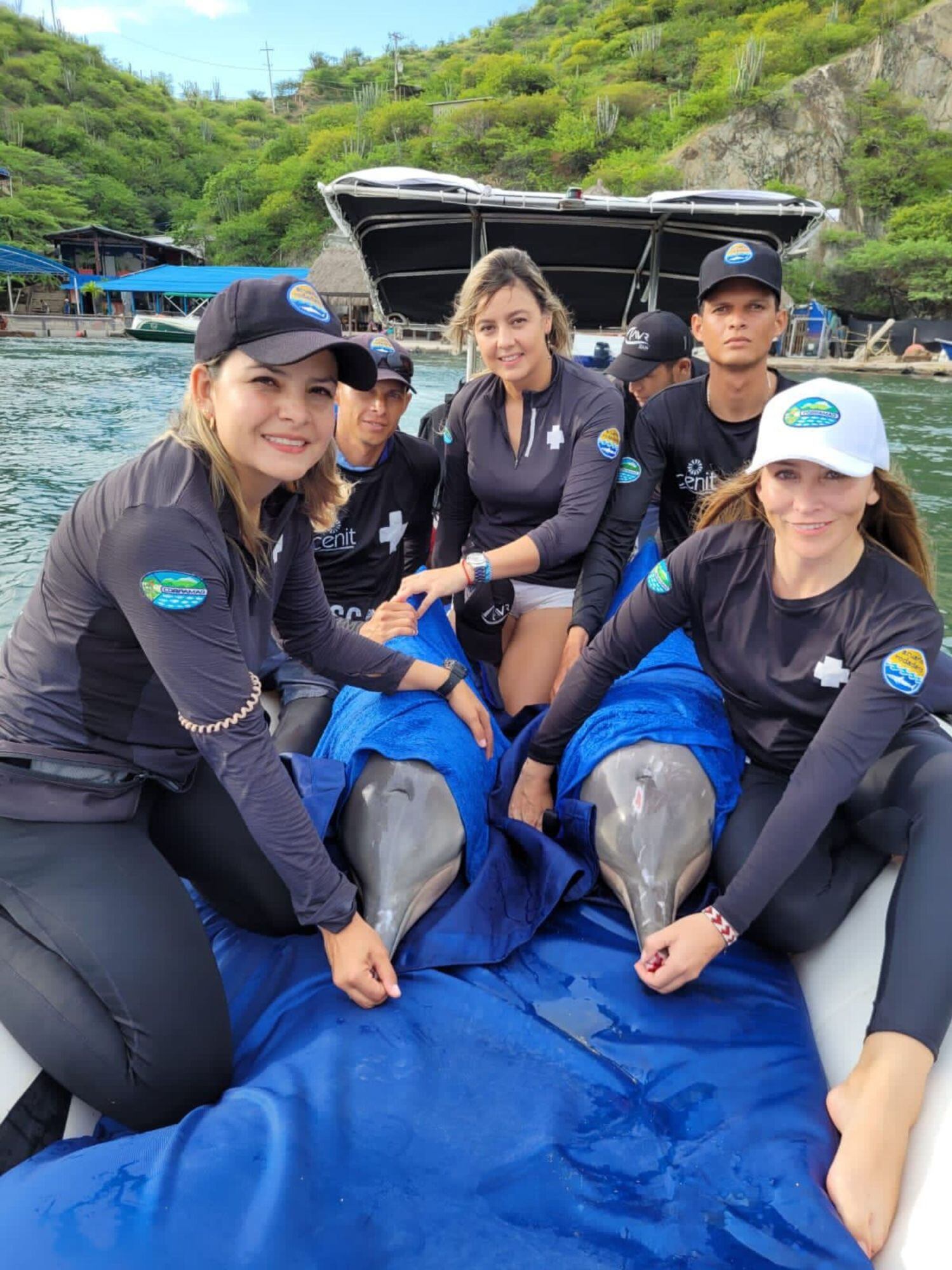 Liberación de delfines/ Corpamag