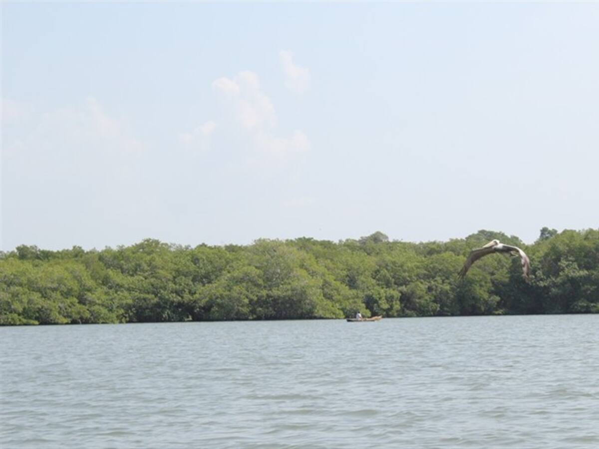 Estamos buscando la mejor alternativa para hacer la vía de Playetas: alcalde de Cartagena