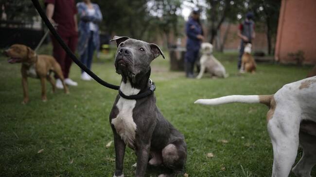 Imagen de referencia. Foto: Colprensa - Sergio Acero