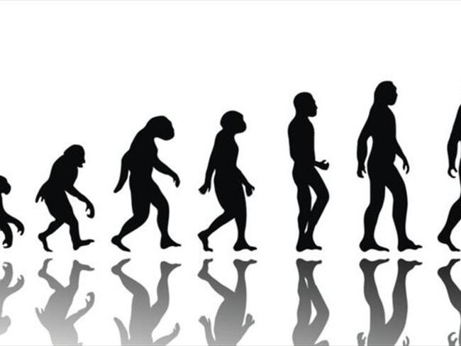 ¿Qué vendrá después del Homo sapiens? Foto: THINKSTOCK
