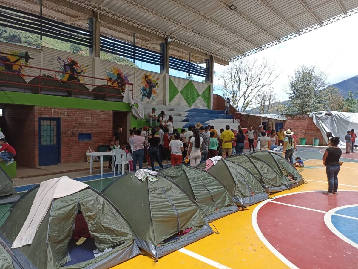 Combates dejan más de 200 desplazados en Argelia, Cauca