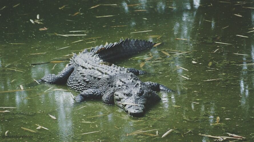 Imagen de referencia. Foto: Getty Images