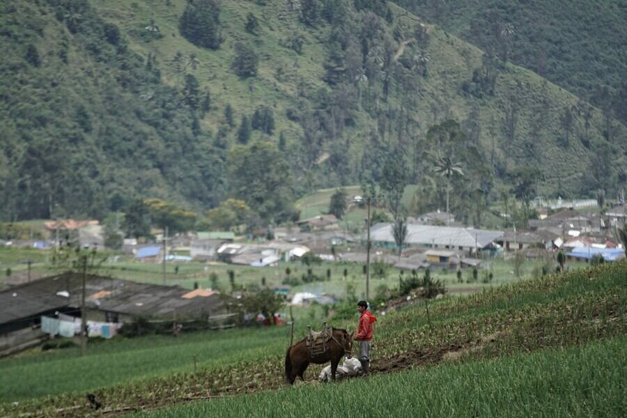 Tierras colombianas imagen de referencia. Foto: Colprensa.