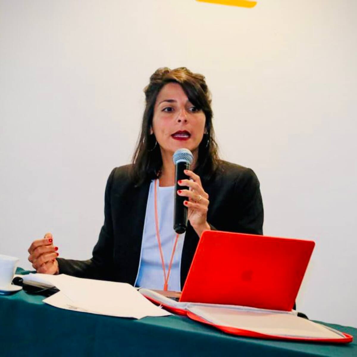 Gobierno Nacional no contempla la privatización de electrificadoras, “es zona roja”