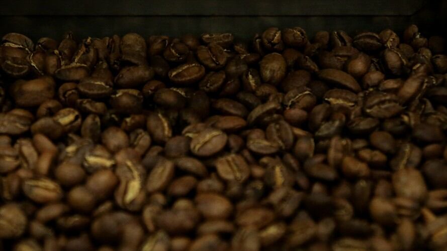 Presentación de programa de apoyo a caficultores. Foto: Colprensa