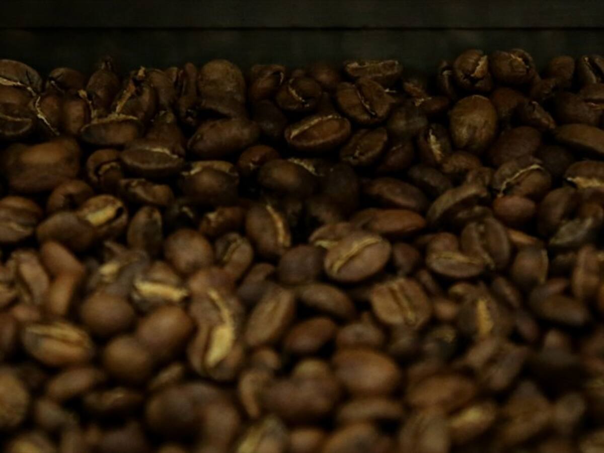 Estados Unidos y cafeteros lanzaron estrategia café para la paz en Colombia