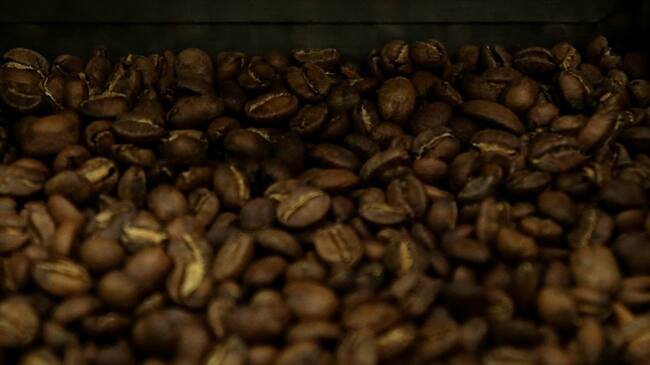 Presentación de programa de apoyo a caficultores. Foto: Colprensa