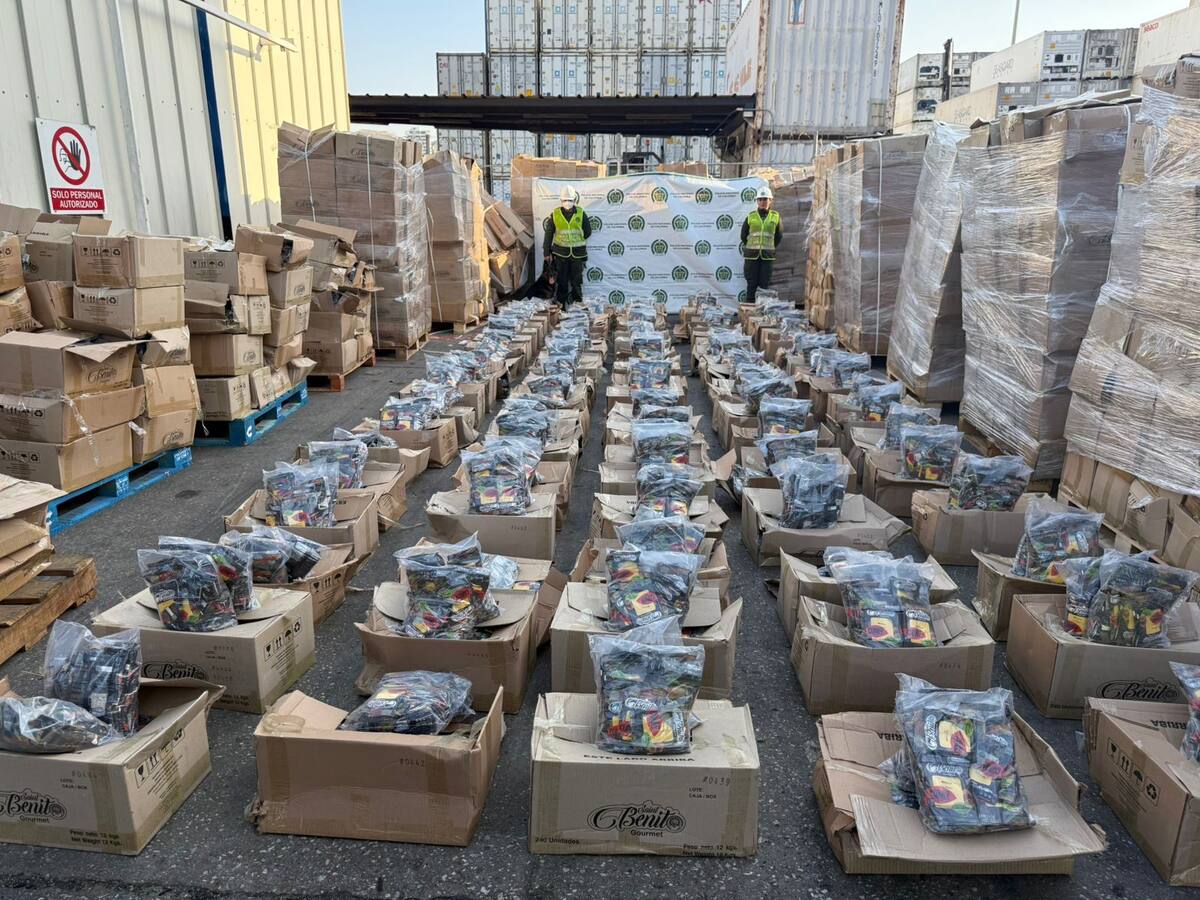 Importante cargamento de cocaína camuflada en Cúrcuma al parecer salió del Catatumbo