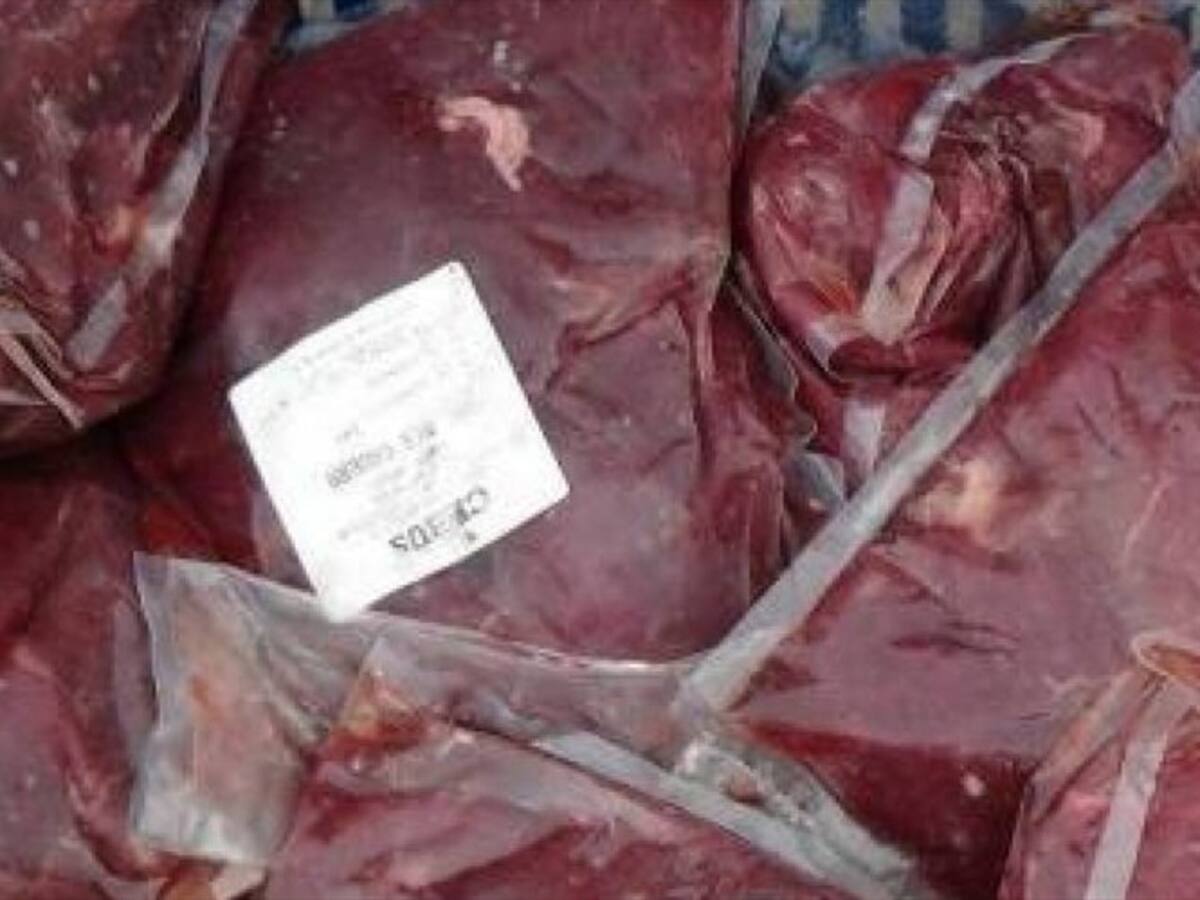 Advierten posible venta de carne de caballo y burro en plazas de Bucaramanga