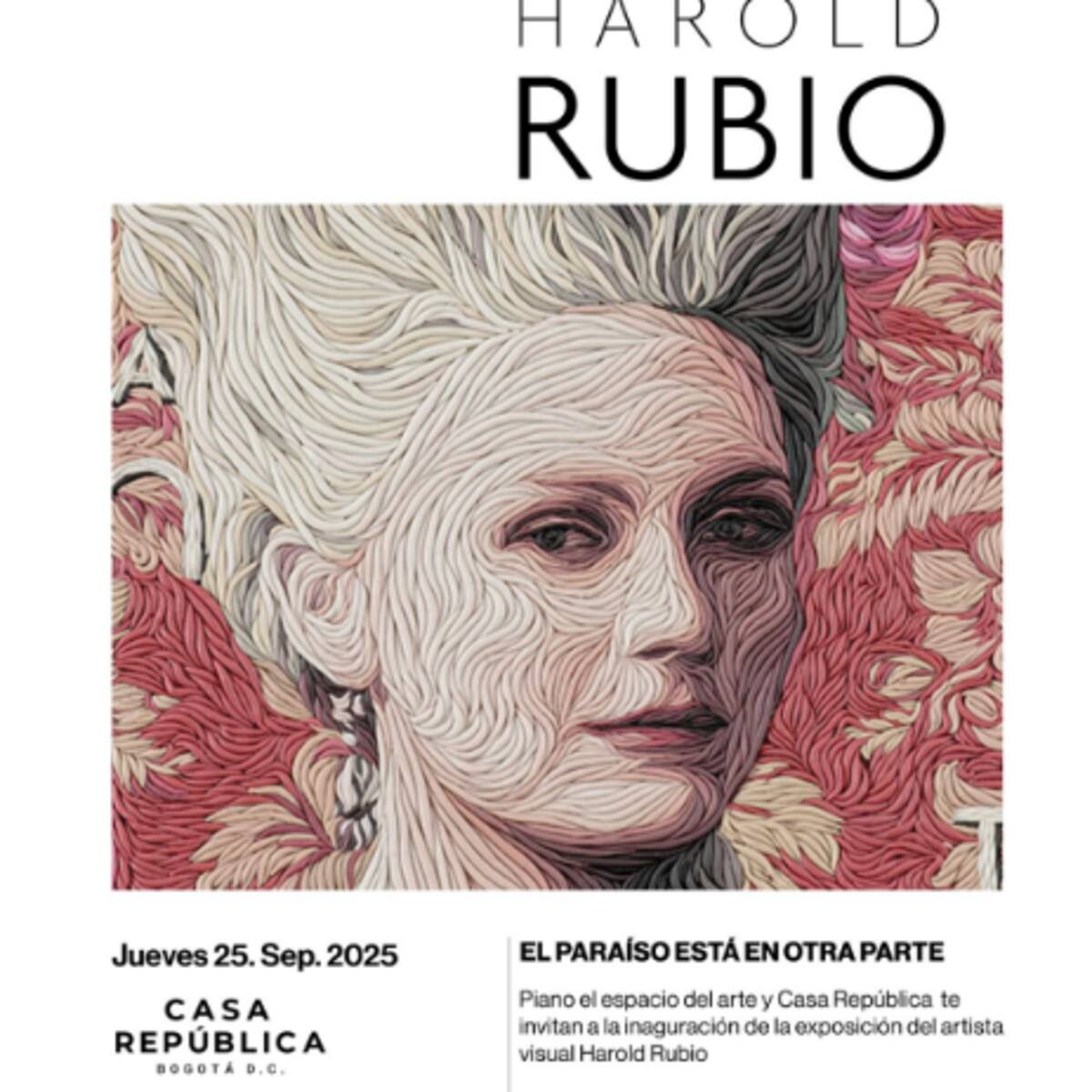 La plastilina me permite transferir las texturas: Harold Rubio, artista plástico colombiano