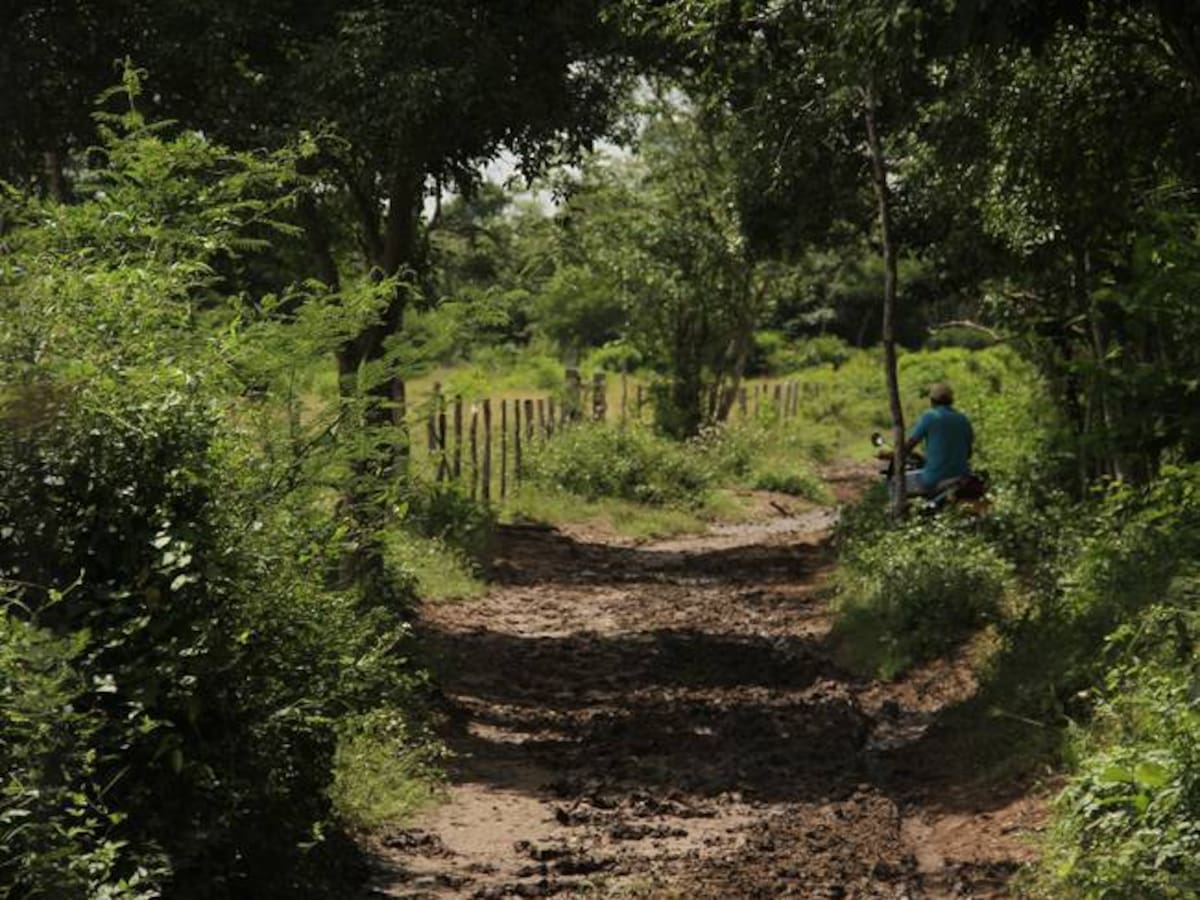 Corte ordena un plan de descongestión para la justicia de Restitución de Tierras