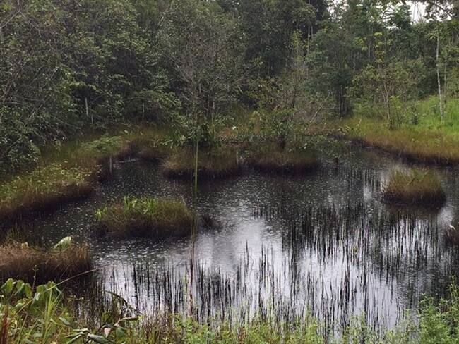 Ecopetrol no ha dimensionado la magnitud del daño: Leonardo Granados