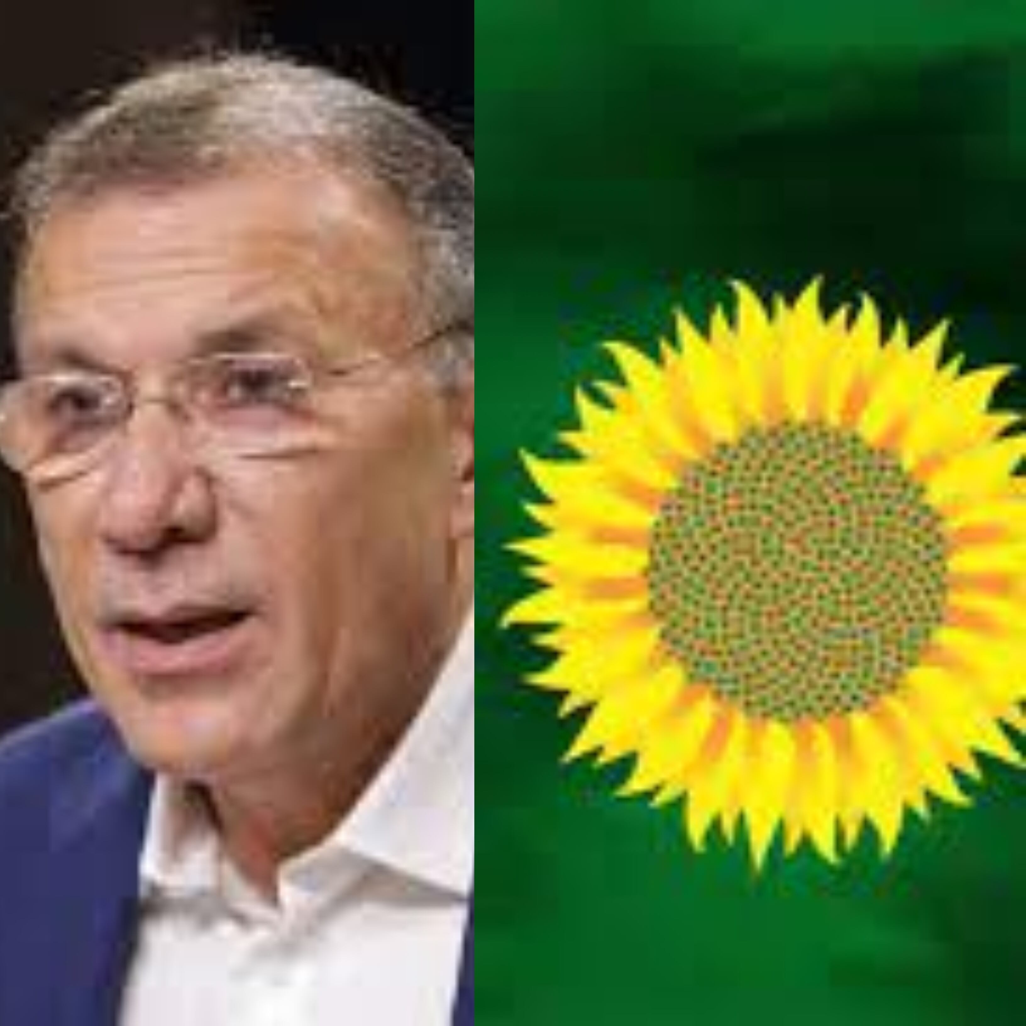 Roy Barreras y logo Alianza Verde