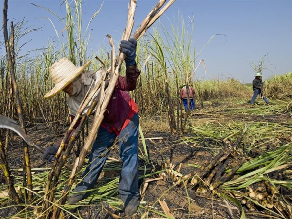 Asocaña rechazó agresiones a militares en Corinto, Cauca