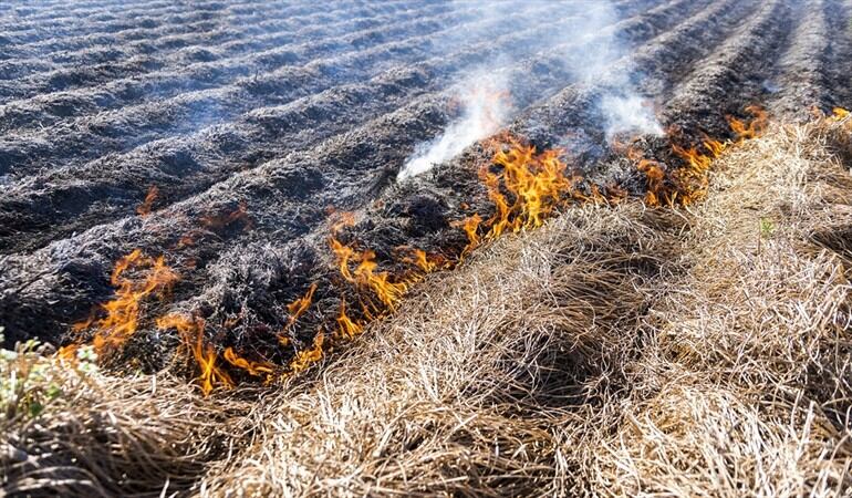 Foto: Expansión de la frontera agropecuaria