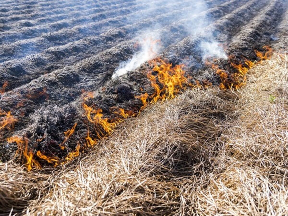 Expansión de la frontera agropecuaria