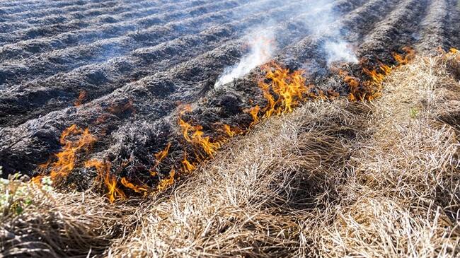 Foto: Expansión de la frontera agropecuaria