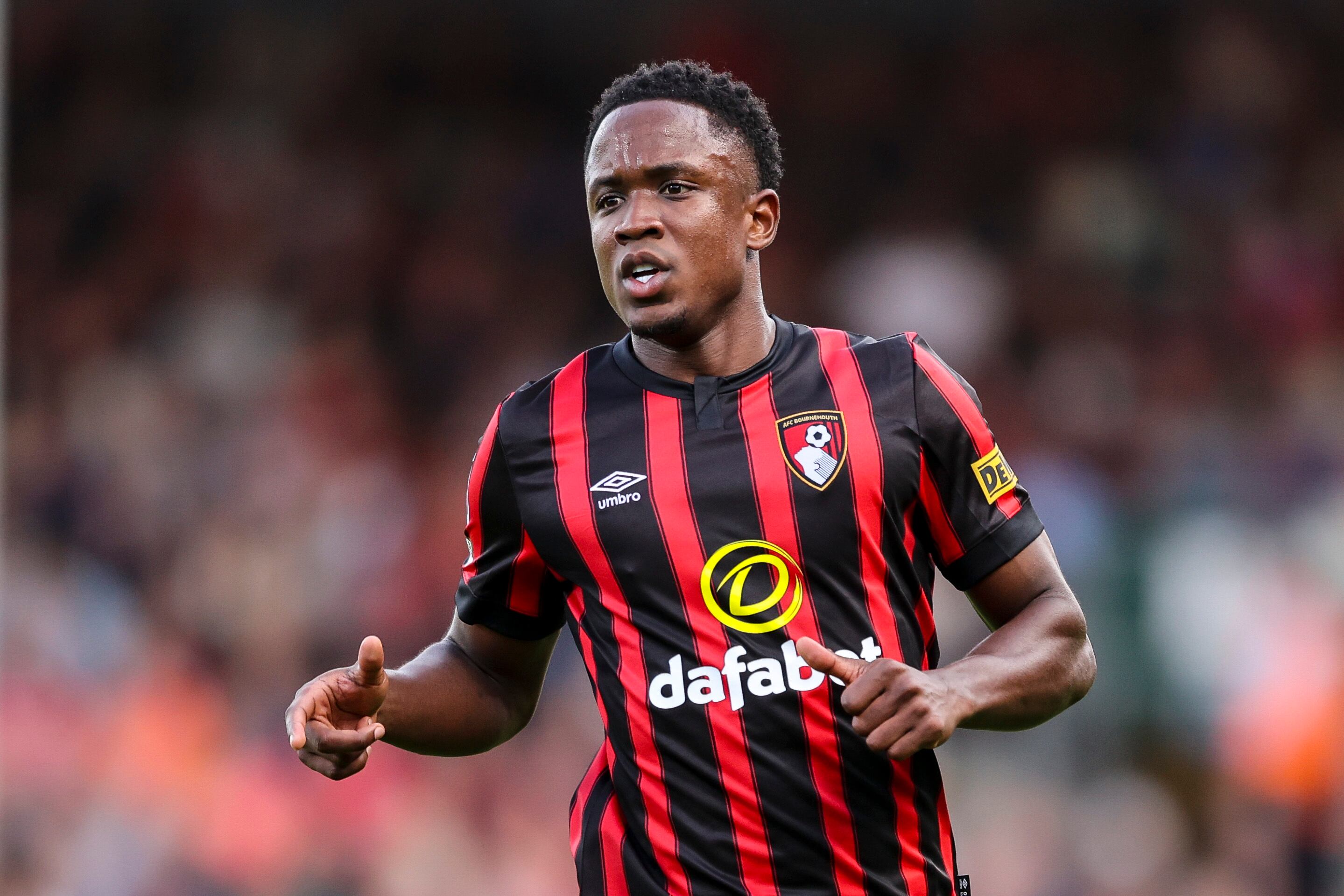 Luis Sinisterra, jugador del Bournemouth. (Photo by Robin Jones - AFC Bournemouth/AFC Bournemouth via Getty Images)