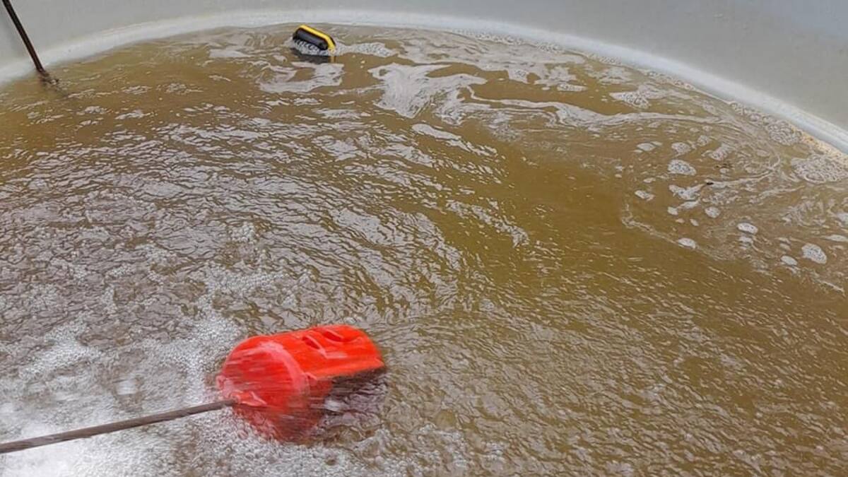 Videos: habitantes denuncian agua nada potable y amarilla en Barichara