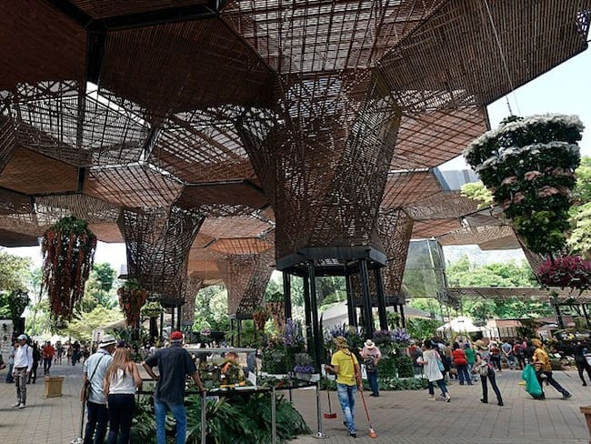 Estamos pidiendo que nos abracen para poder salir adelante: Jardín Botánico de Medellín