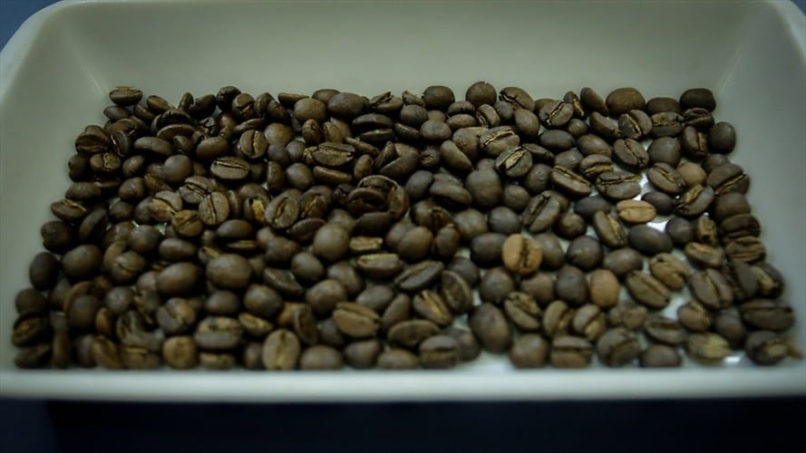 En los últimos 12 meses, la producción superó 14,4 millones de sacos, 6% más frente a los 13,6 millones de sacos producidos en el mismo periodo anterior. Foto: Colprensa