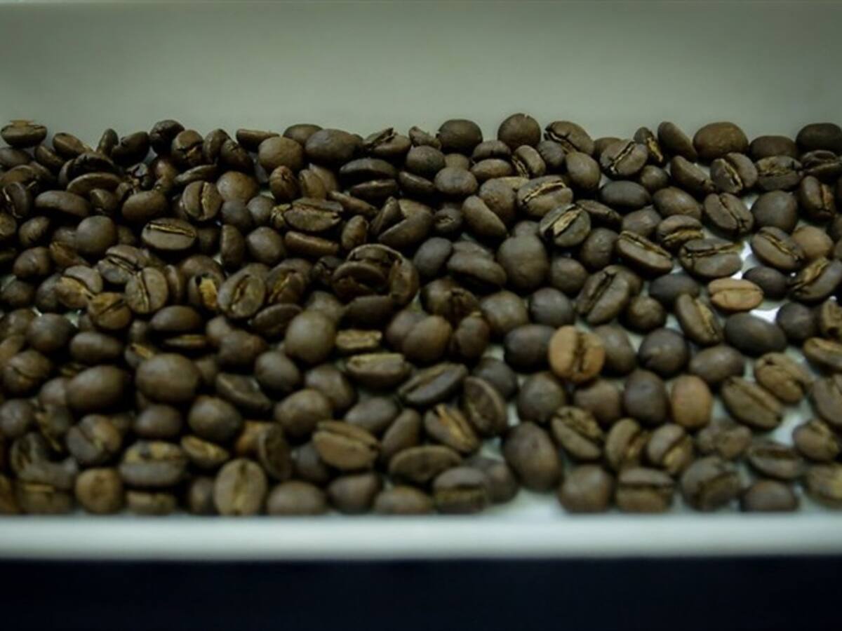 Producción de café de Colombia cayó en febrero según la Federación Nacional de Cafeteros