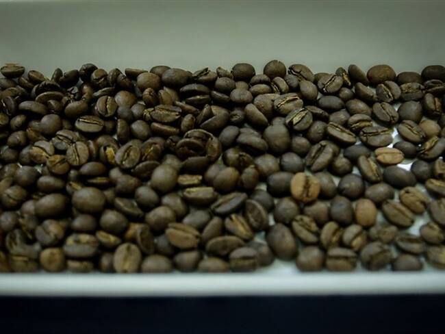 En los últimos 12 meses, la producción superó 14,4 millones de sacos, 6% más frente a los 13,6 millones de sacos producidos en el mismo periodo anterior. Foto: Colprensa