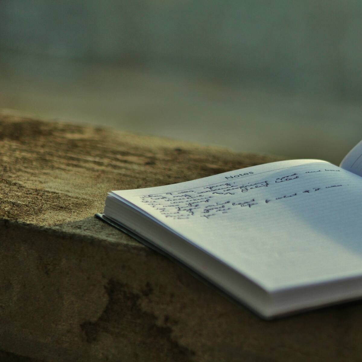 Directora de la FILSAI dio detalles del evento: escritores invitados y mucho más