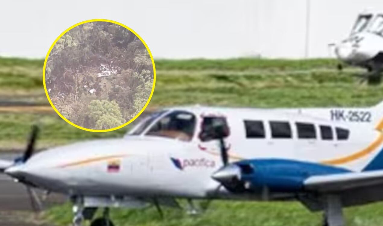 Avioneta accidentada. Foto: Captura de pantalla.