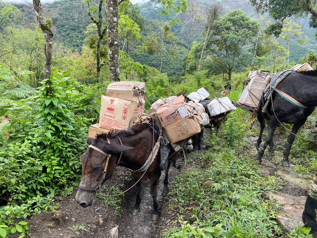 Las deficiencias en vías y electricidad en el municipio de Labranzagrande, Boyacá