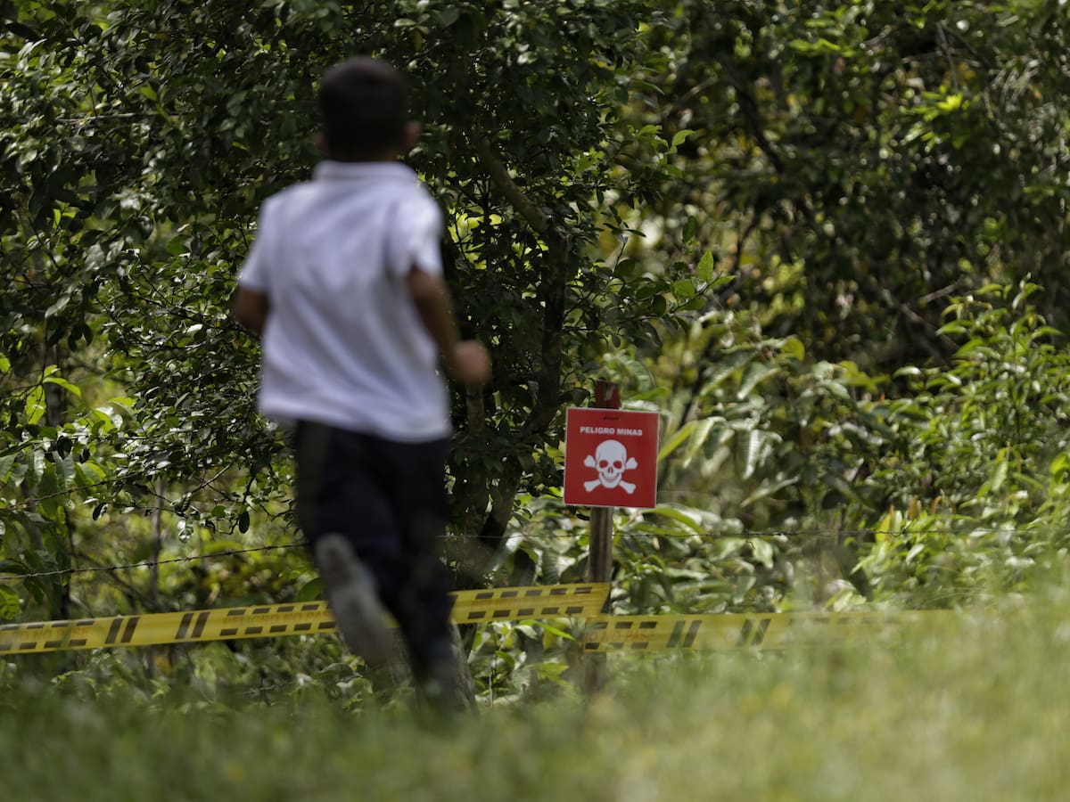 Preocupación por aumento de delitos en Norte de Santander tras cese al fuego con el ELN