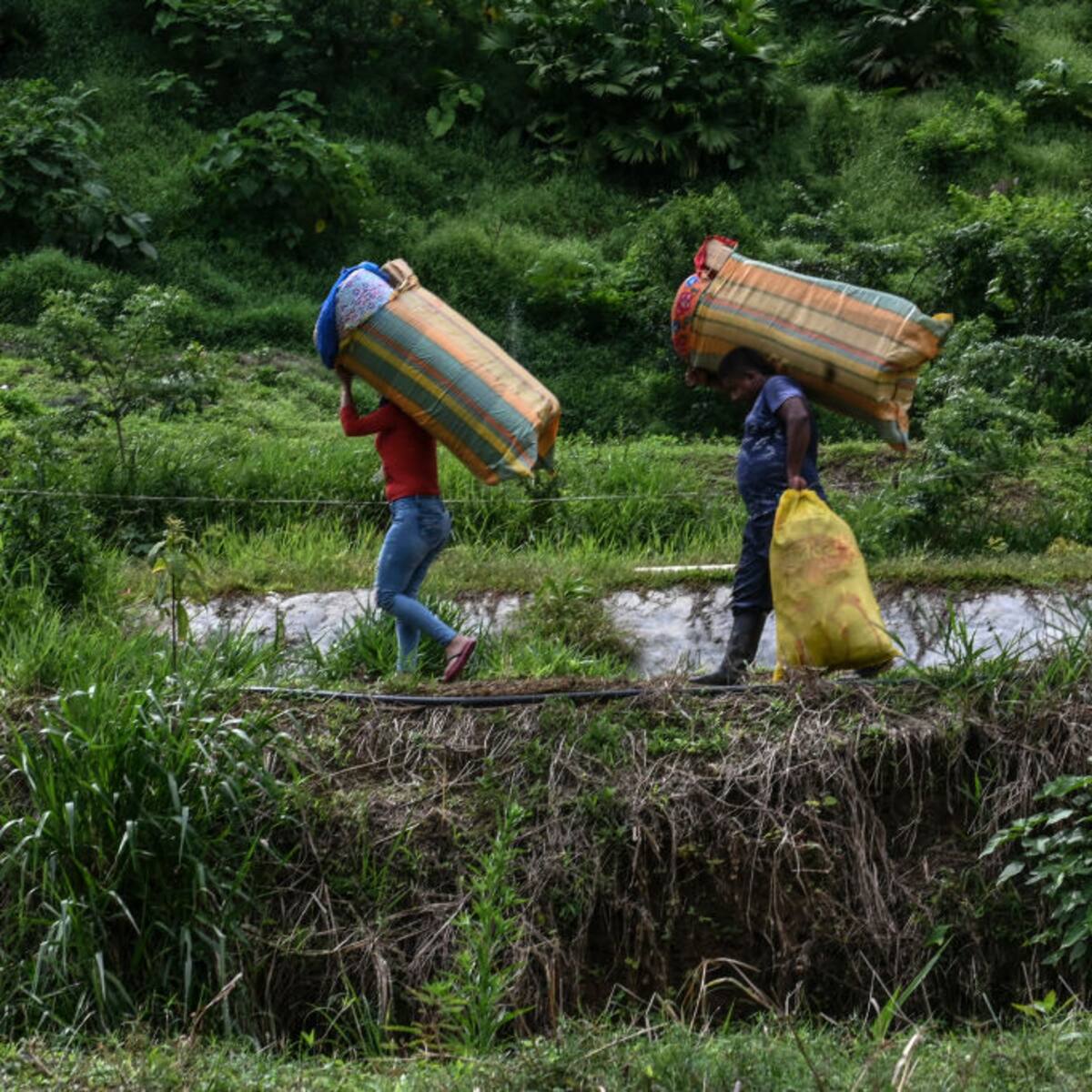 Alerta: víctimas de desplazamiento superan las 40.000 en lo corrido del año