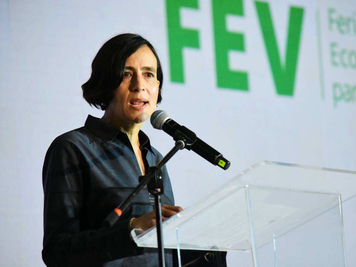 Ministra de Ambiente advierte por una posible declaratoria de desastre por agua en Bogotá