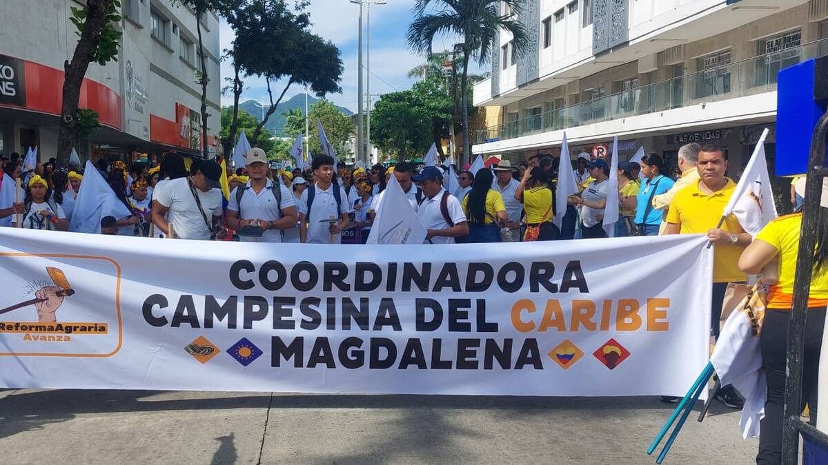 Organizaciones campesinas del Magdalena marcharon en defensa de la Reforma Agraria