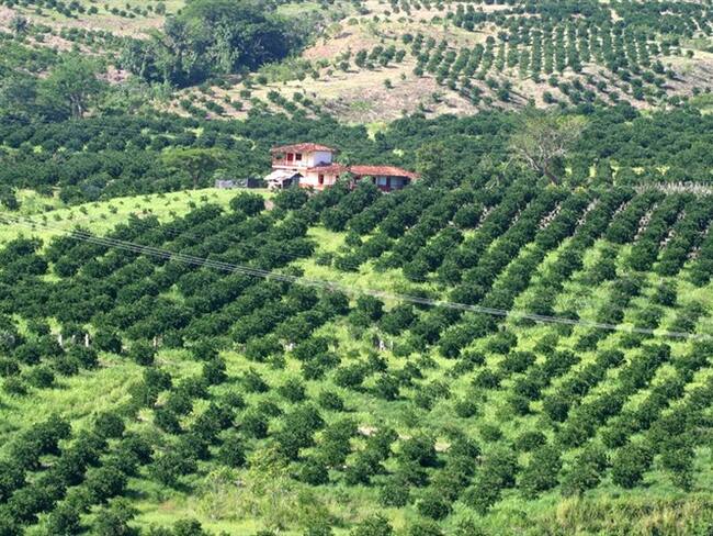 AngloGold Ashanti ha realizado aportes financieros a partidos políticos: Ana María Gómez
