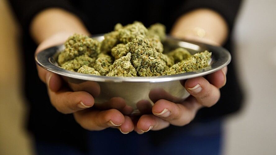 Resurge el debate en México para legalizar la marihuana. Foto: Getty Images